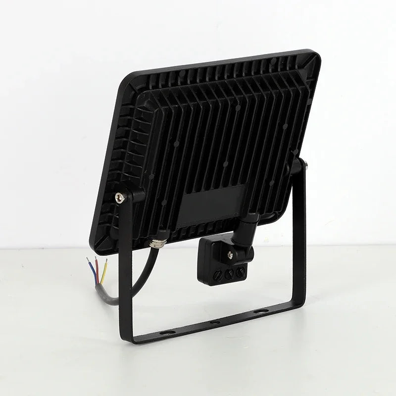 10W 20W 30W 50W 100W Induction Led Flood Light With Adjustable PIR Sensor 110V 220V Floodlight Street Square Outdoor Lighting