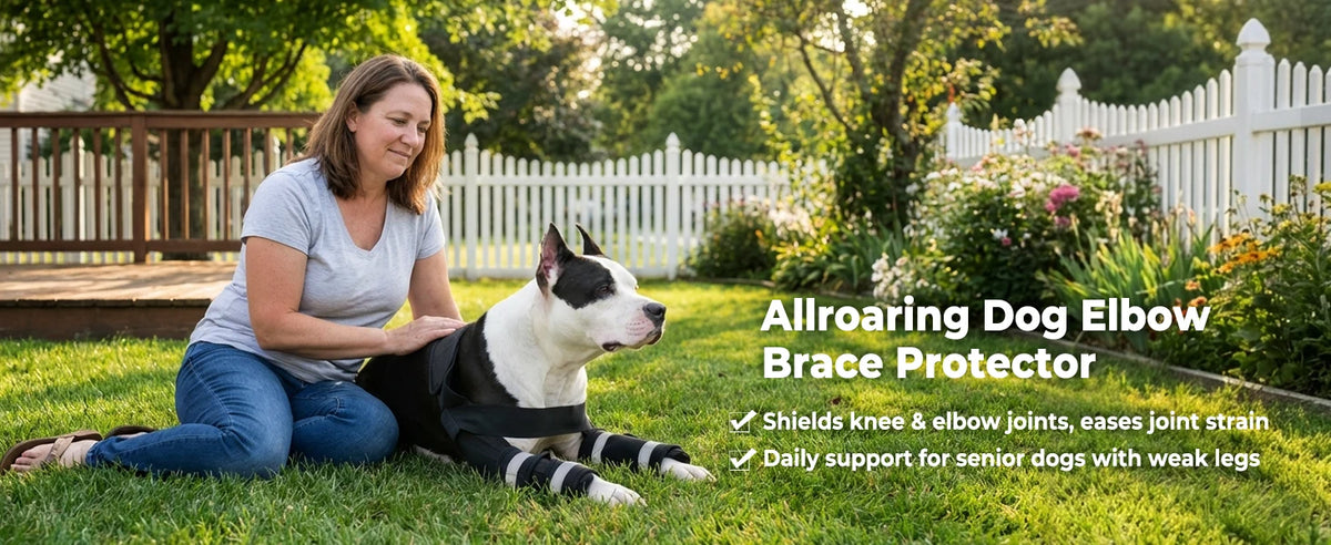 Dog Leg Brace for Front, Dogs Elbow Protector with Hook-Loop Fastening Elbow Brace for Joint Support Walking Assistance,Dropship