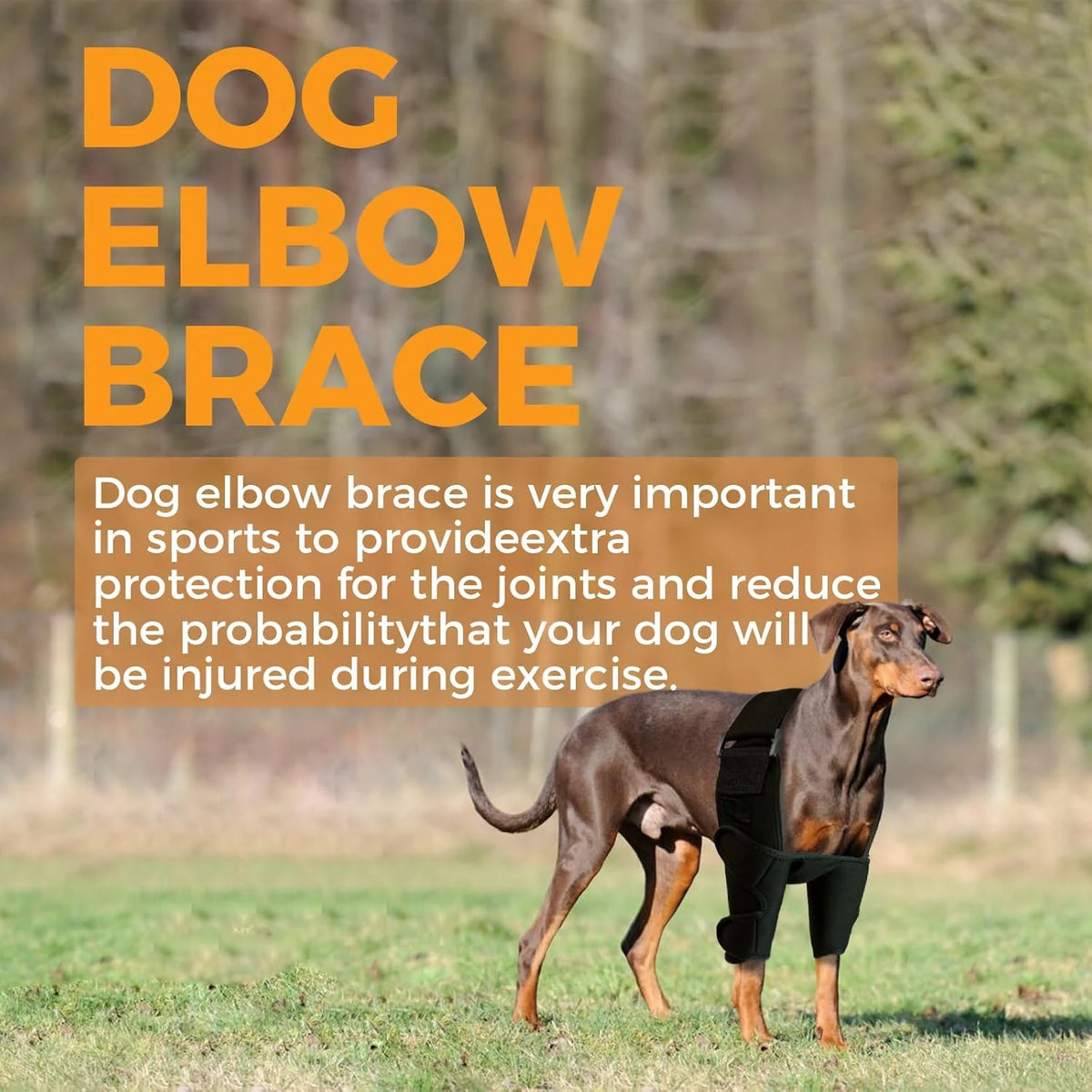 Dog Elbow Brace Protector Pads , Dog Front Leg Brace for Elbow Arthritis, Provides Elbow Support and Protection Front Leg XXL
