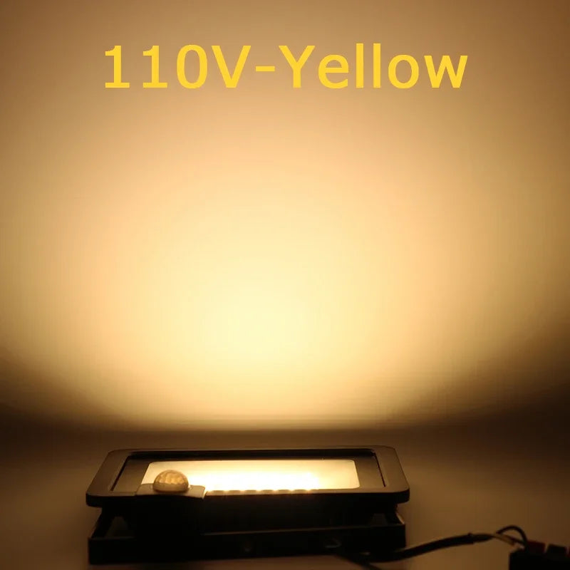 10W 20W 30W 50W 100W Induction Led Flood Light With Adjustable PIR Sensor 110V 220V Floodlight Street Square Outdoor Lighting