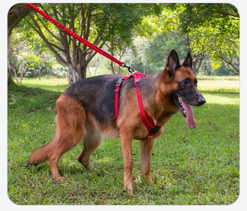High Elasticity Double Handle Dog Tactical Leash Explosion-proof No Tangle Outdoor Training Walking Nylon Dog Leashes Dogs Items