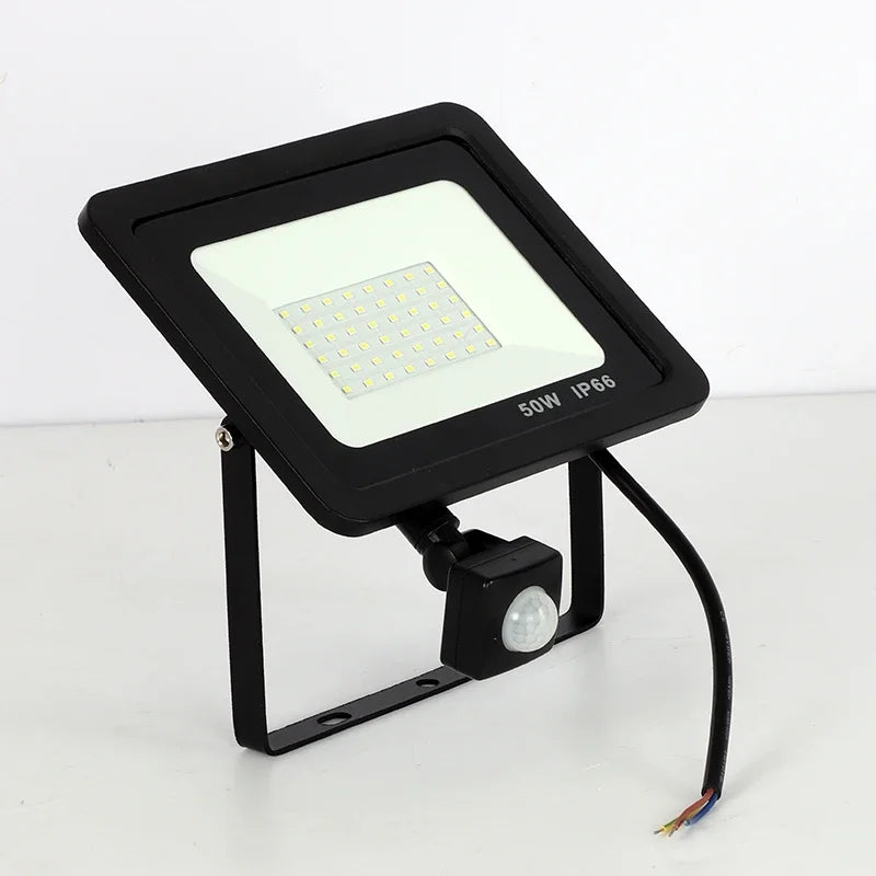 10W 20W 30W 50W 100W Induction Led Flood Light With Adjustable PIR Sensor 110V 220V Floodlight Street Square Outdoor Lighting