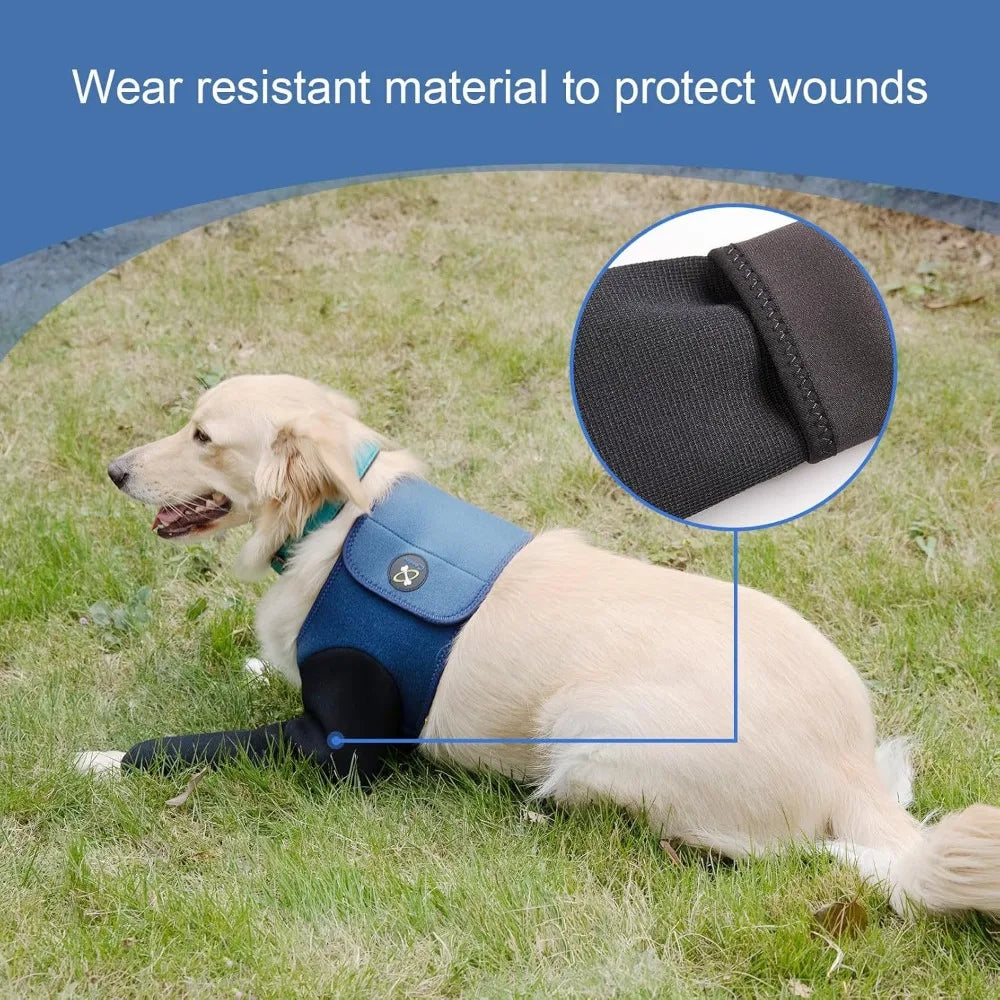Dog Joint Protector,Front Leg Braces,Breathable Fabric Anti-chew,With Adjustable Paw Supports,Help Better Recovery ACL,XS-XXL