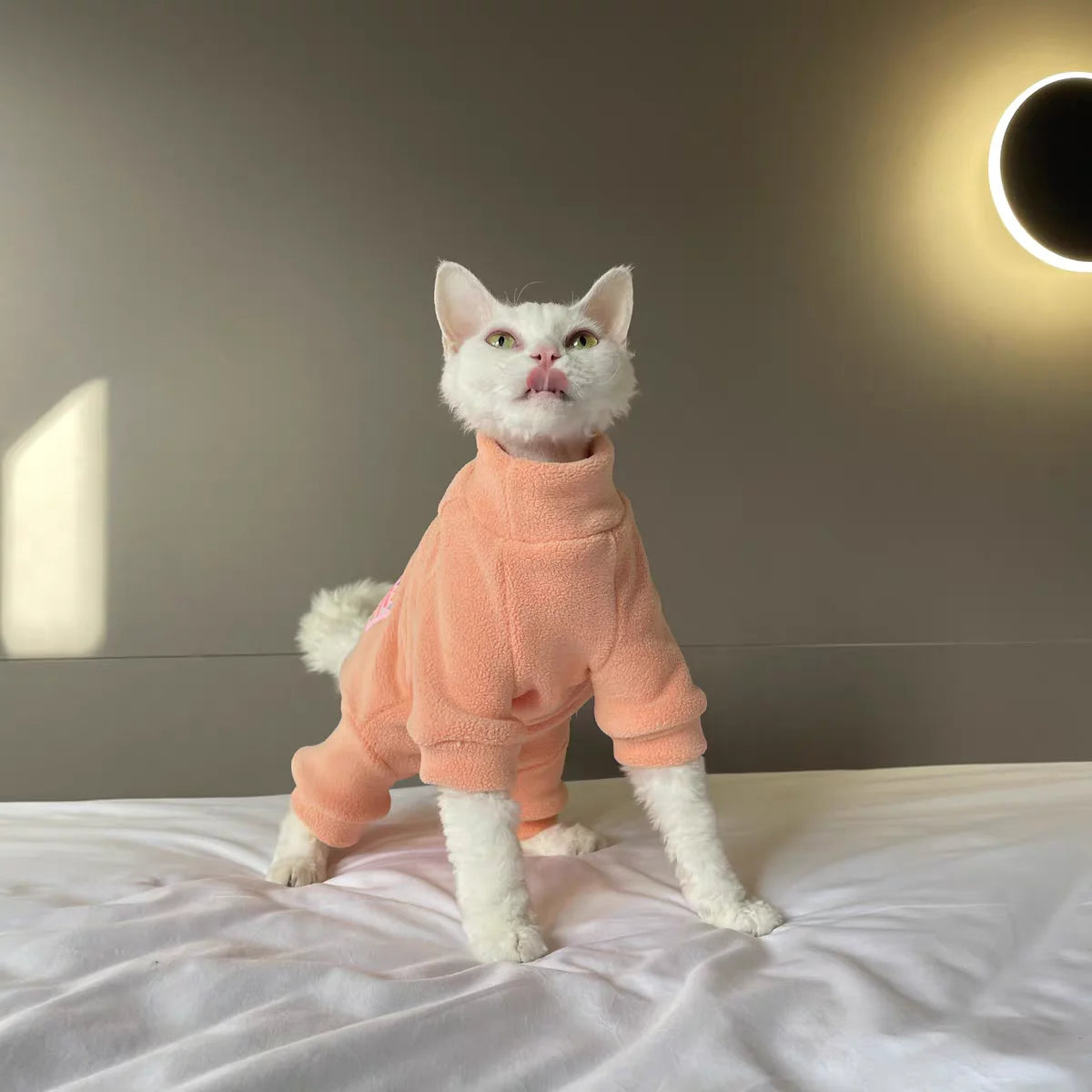 Fleece Coat for Sphynx Cat Warm Sweatshirt 4-legged Jumpsuit for Kittens Dogs soft Loungewear for Male Cat Devon Rex Sweater
