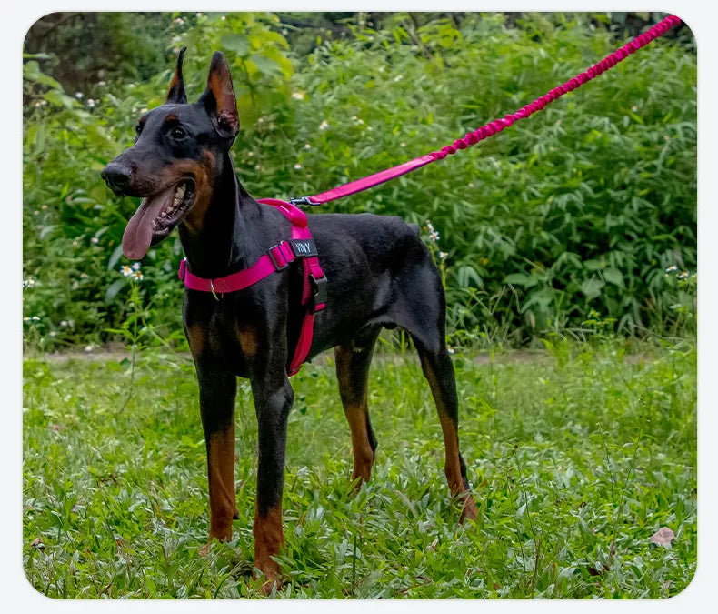 High Elasticity Double Handle Dog Tactical Leash Explosion-proof No Tangle Outdoor Training Walking Nylon Dog Leashes Dogs Items