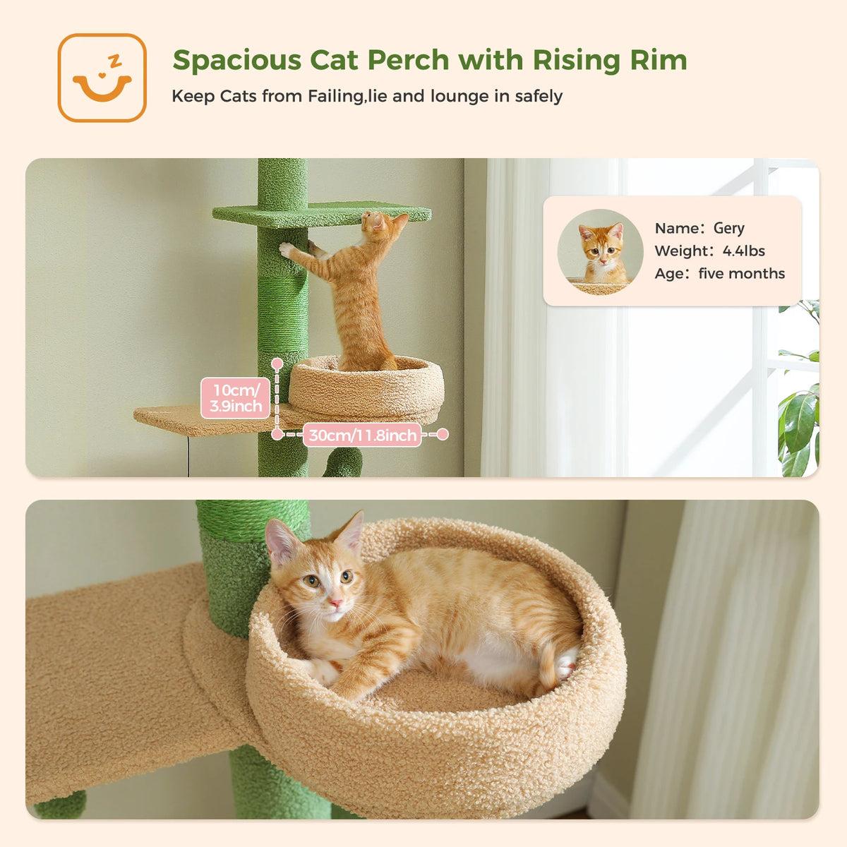 Cactus Cat Tree Floor to Ceiling Cat Tower with Sisal Scratching Post,Comfortable Hammock for Multi-Cat Homes,Cat Accessories