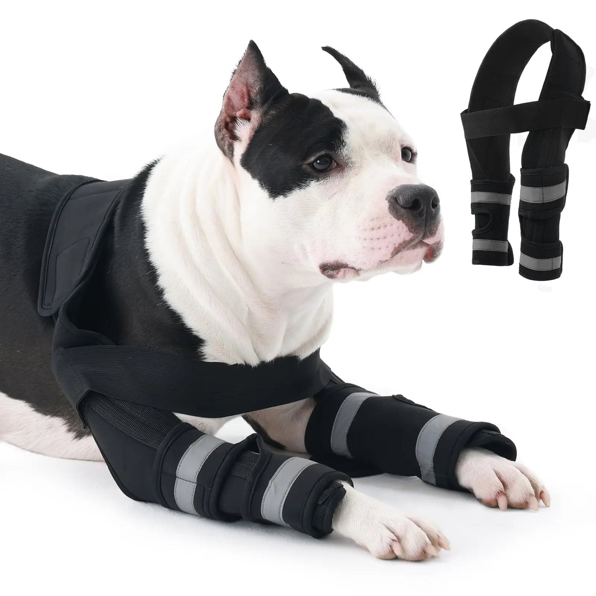 Dog Leg Brace for Front, Dogs Elbow Protector with Hook-Loop Fastening Elbow Brace for Joint Support Walking Assistance,Dropship