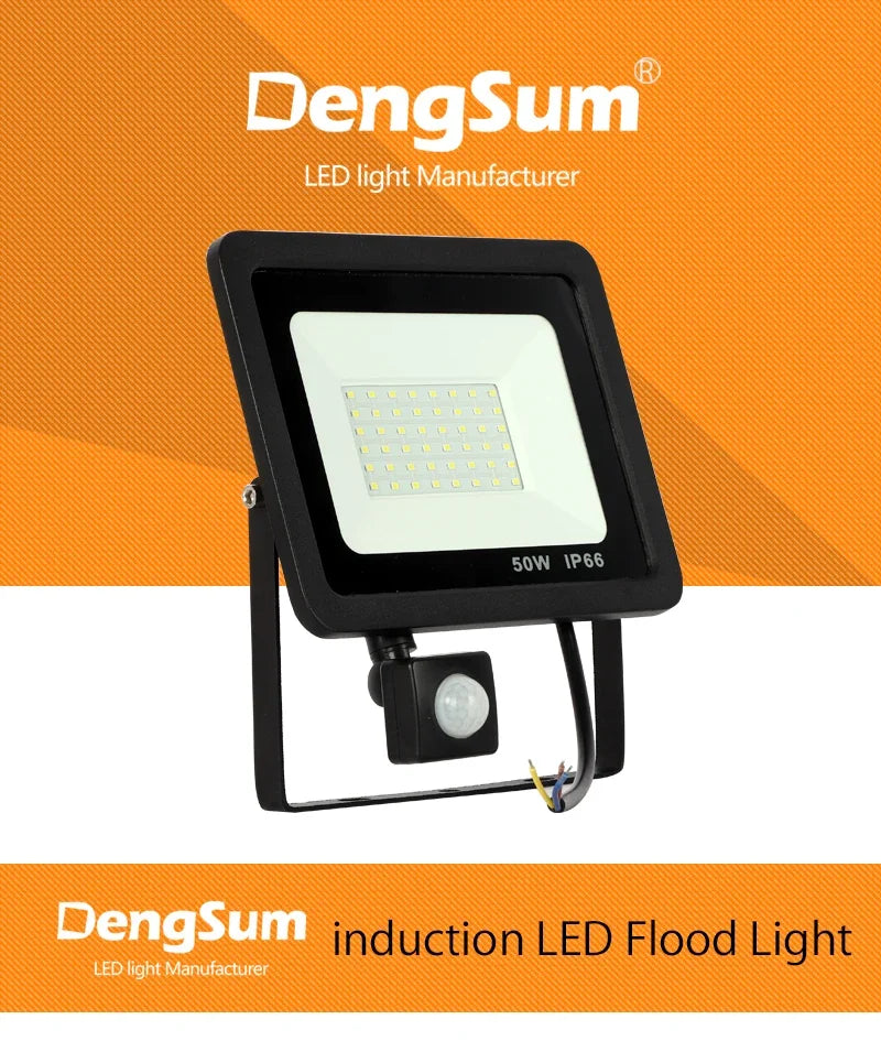 10W 20W 30W 50W 100W Induction Led Flood Light With Adjustable PIR Sensor 110V 220V Floodlight Street Square Outdoor Lighting