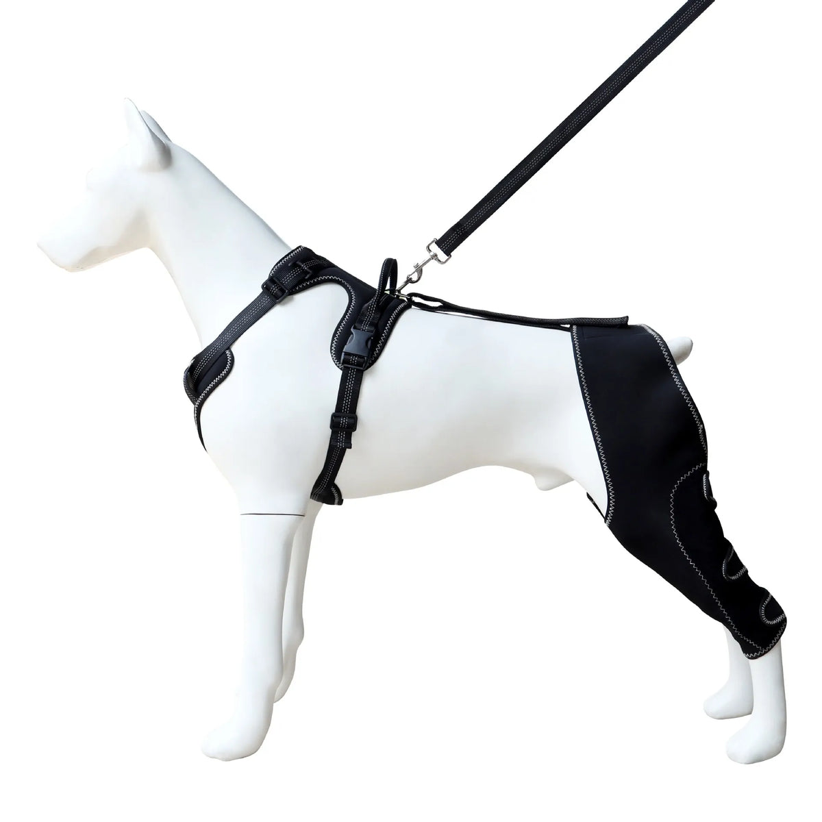 Dog Knee Brace Support for Hind Leg with Traction Rope, Adjustable Design For Joint Pain- Right Rear Leg with Integreted Harness