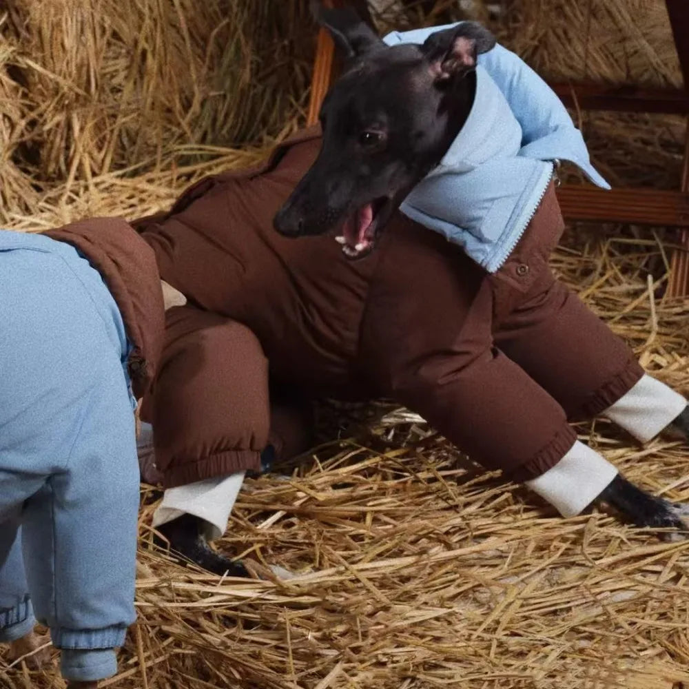 Thicken Pet Dog Parkas Coat,Four Legs Puppy Jumpsuit - High Neck Design & Double Sides Wearing, Whippet Greyhound Winter Outfits